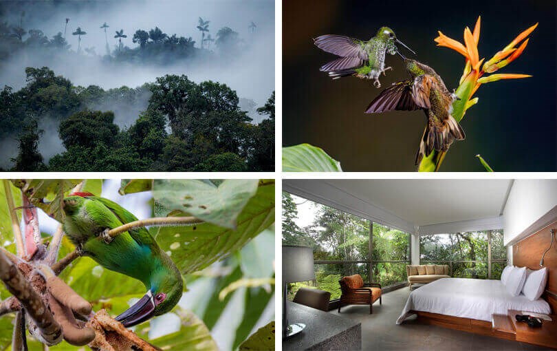 top things to do and see in Ecuador - Bellavista Cloud Forest