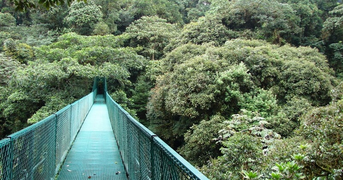 Sky Walk - Monteverde Cloud Forest