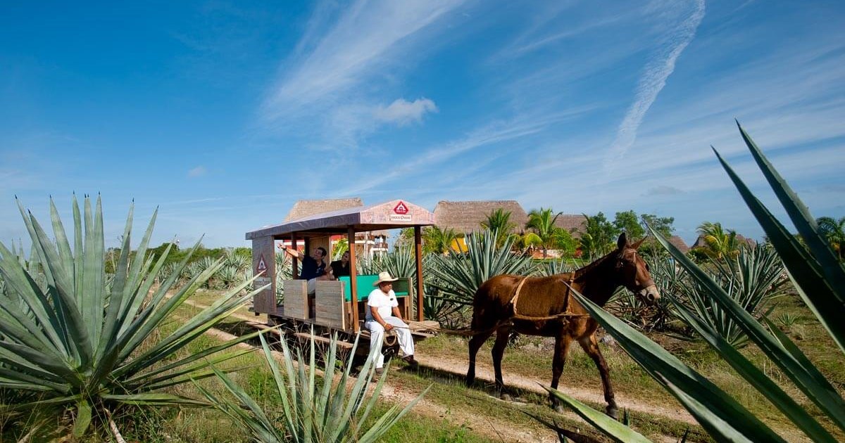 Sisal | Discover Mexico with Veloso Tours - Latin America specialists