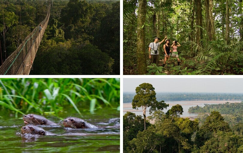 Best places to visit the Amazon - Ecuador